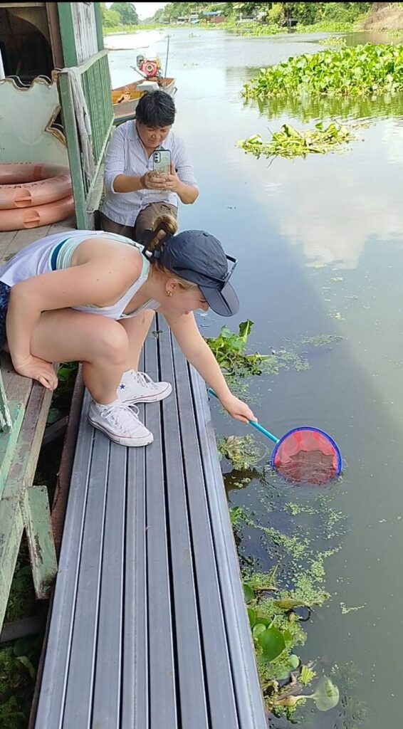 Green fun, re-prawn the canal activity.